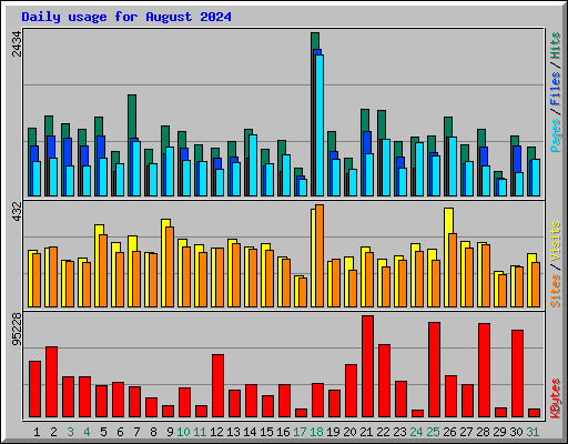 Daily usage for August 2024