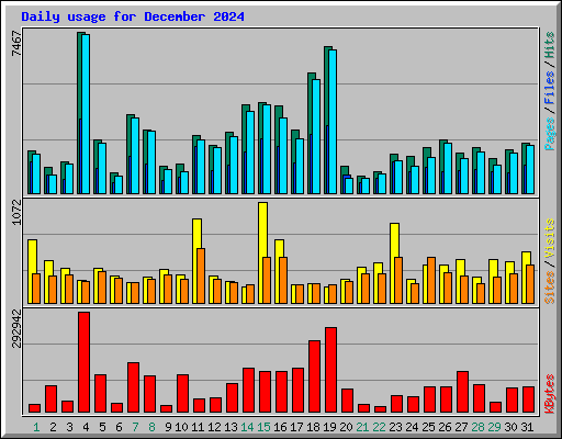 Daily usage for December 2024