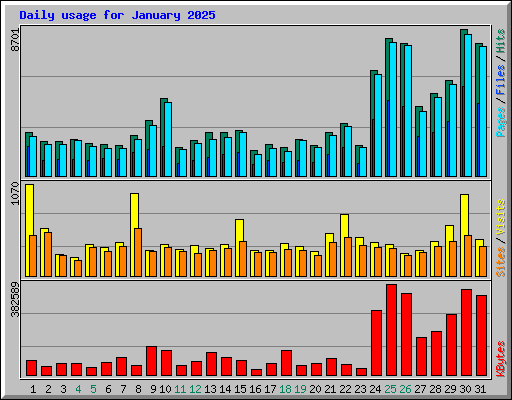 Daily usage for January 2025