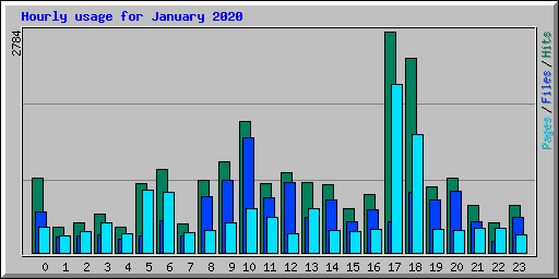 Hourly usage for January 2020