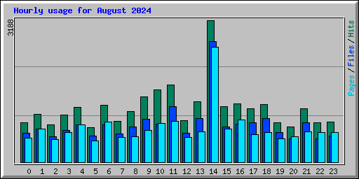 Hourly usage for August 2024