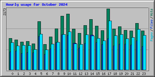 Hourly usage for October 2024