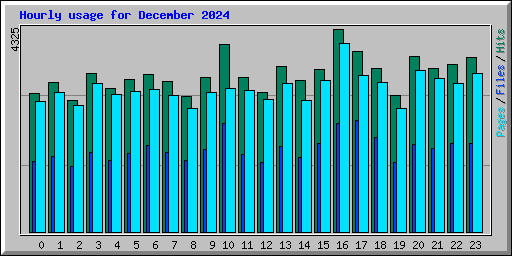 Hourly usage for December 2024
