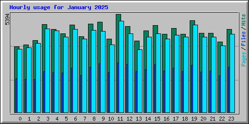 Hourly usage for January 2025