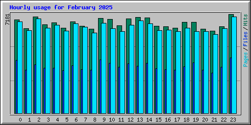 Hourly usage for February 2025