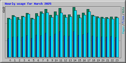 Hourly usage for March 2025