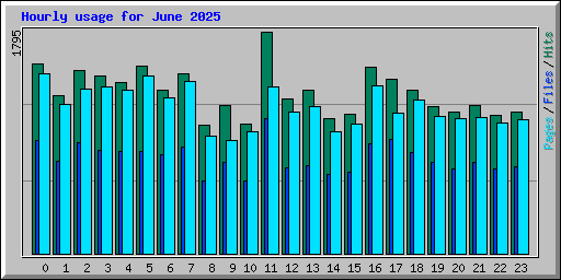 Hourly usage for June 2025