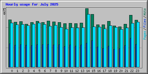 Hourly usage for July 2025