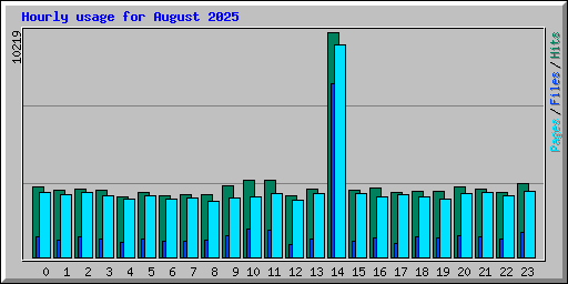 Hourly usage for August 2025