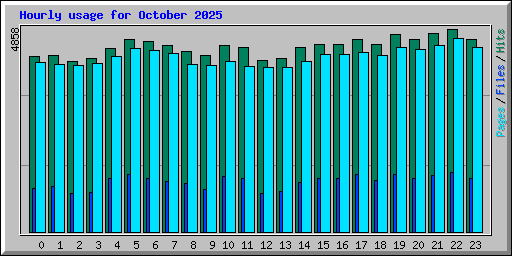 Hourly usage for October 2025