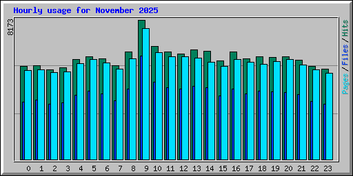Hourly usage for November 2025