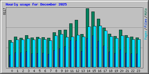 Hourly usage for December 2025