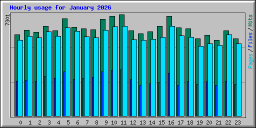Hourly usage for January 2026