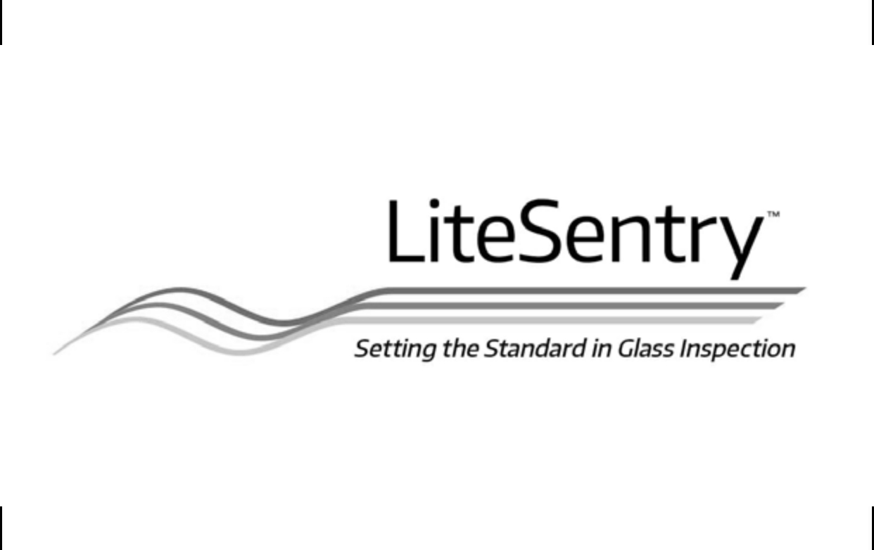 Lite Sentry